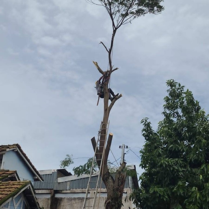 625248638_18092592785291803_6512880038931799912_n