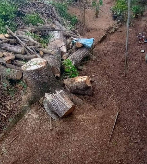 654525317_18085329965004650_8362933840524223163_n